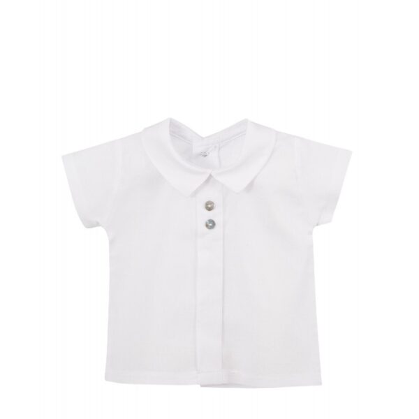 Camisa manga corta Calamaro Baby - Imagen 2