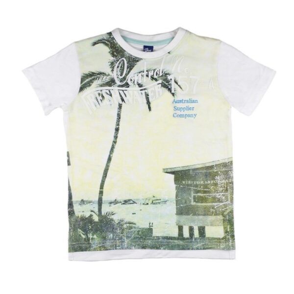 Camiseta basics-ALM-181099