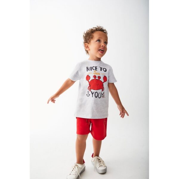 Conjunto corto bebé niño Sailor Street Monkey